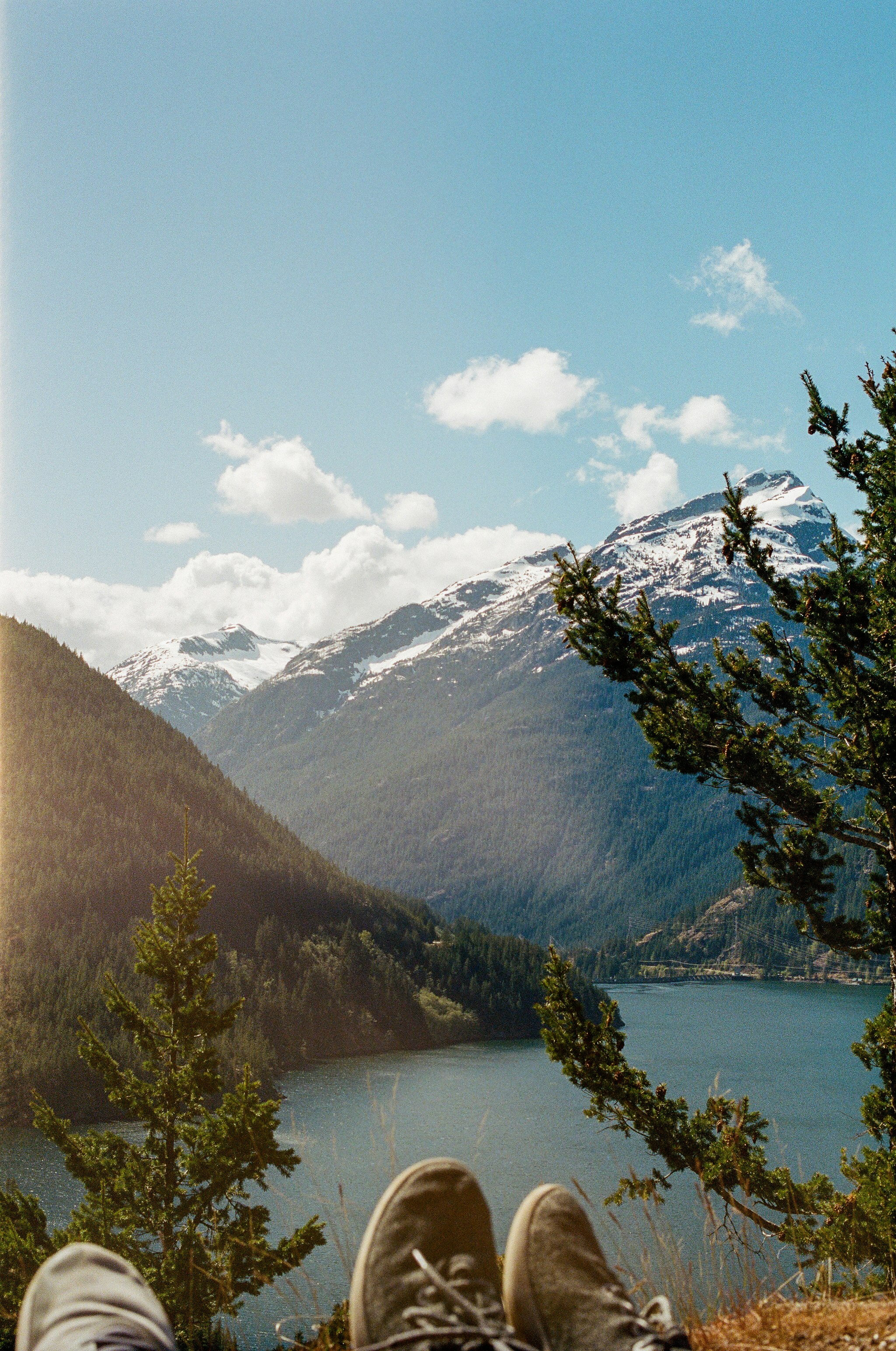 green trees near mountain during daytime